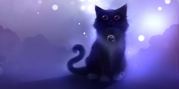 1920x1080 Cartoon Cat Wallpapers - Top Free Cartoon Cat Backgrounds
