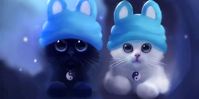 2560x1600 Double Cat Wallpaper