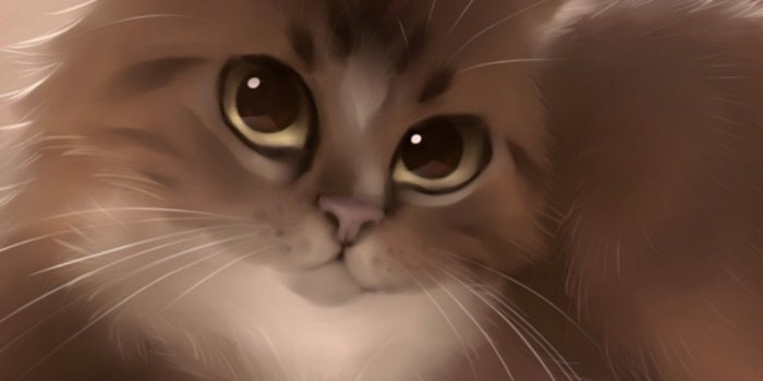 1080x1920 Cute Cats HD Wallpapers for iPhone 7 | Wallpapers.Pictures