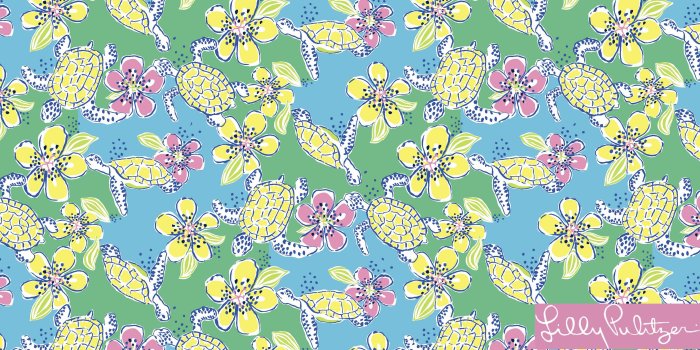 3888x2431 49+] Preppy Wallpapers on WallpaperSafari