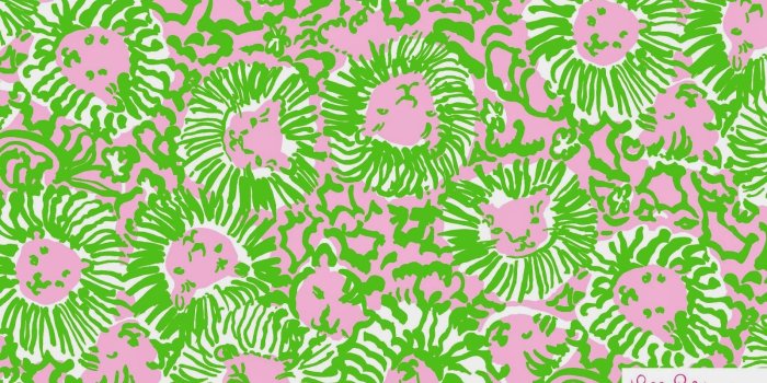 1600x1001 CanadianPrep: Lilly Desktop Wallpaper