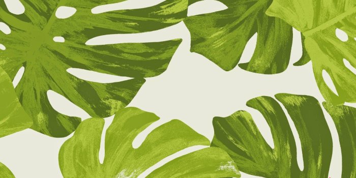 1440x900 Preppy Desktop Wallpaper ✓ The Galleries of HD Wallpaper