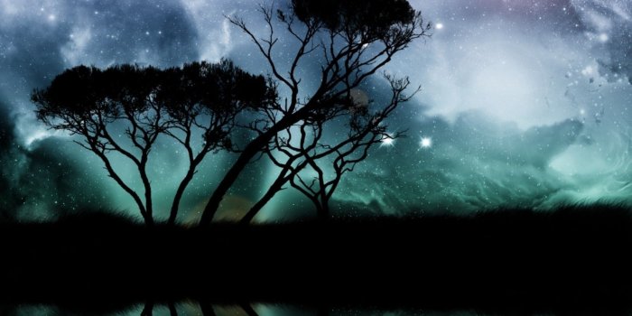 1920x1200 Abstract Nature Wallpapers