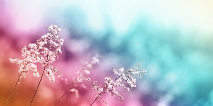 2560x1600 Abstract Nature Wide Desktop Wallpaper | Abstract Wallpapers