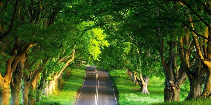 1435x877 Abstract nature wallpapers - SF Wallpaper