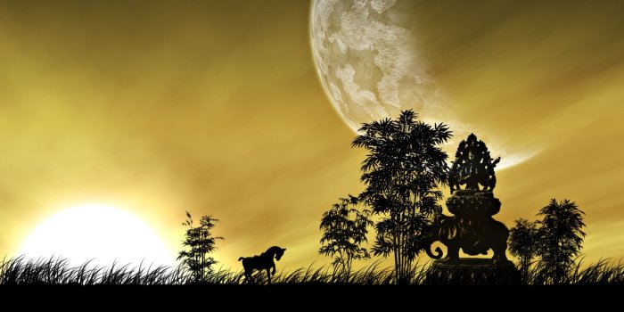 1920x1080 47+] Abstract Nature Wallpaper on WallpaperSafari