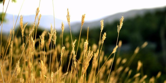 1920x1080 HD Nature Wallpapers, Summer, Landscape,nature, Beauty, Mobile