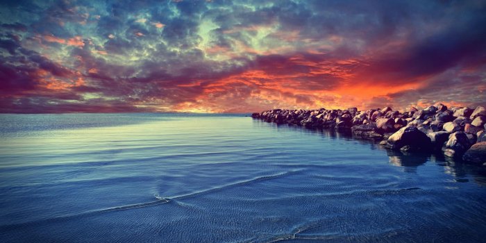 2560x1440 Abstract, Nature, Trees, Balloons, Baltic, Sevintage, Wallpaper