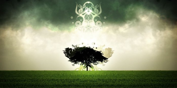 1440x900 Abstract Nature Wallpapers