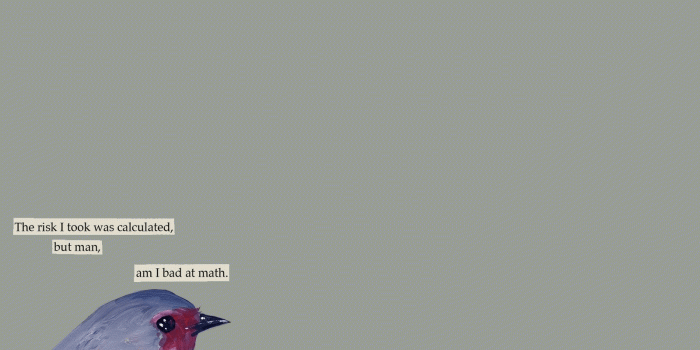 1600x900 Bird, Funny Images, Drawing, Mobile Math, View,artworks, Risk - The