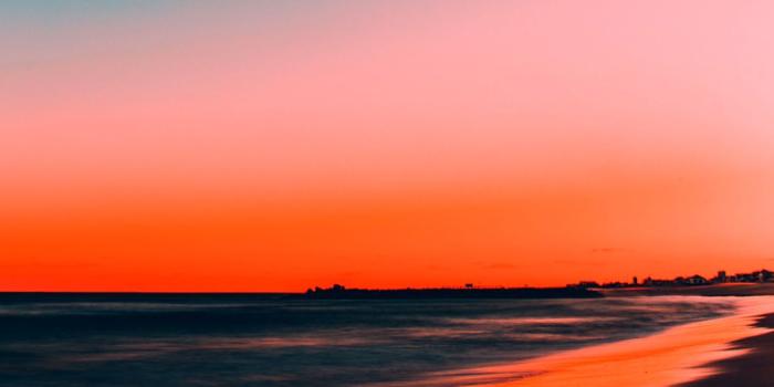 1270x714 Sunset Beach Hawk Hd Wallpaper | Wallpapers Ultra