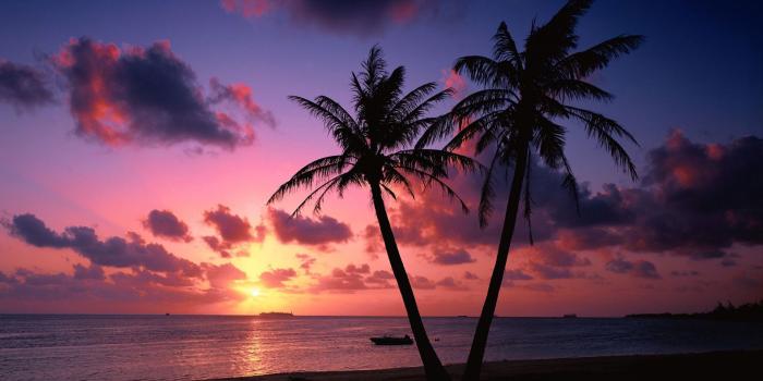 1920x1080 45+ Tropical Sunset Wallpapers - Download at WallpaperBro