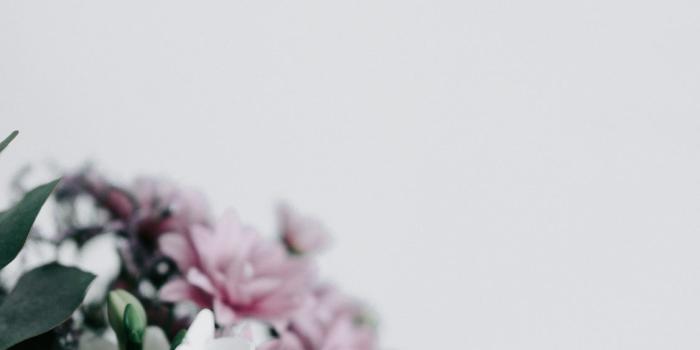 1125x2436 Flowers with blank space iPhone X Wallpapers Free Download