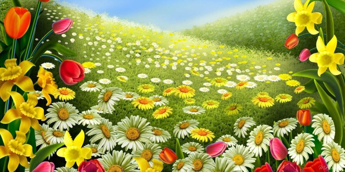 1920x1080 Free Disney Spring Wallpaper 1920x1080, #24VCD36 - Picserio.com