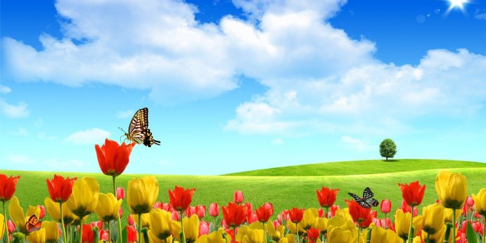 1920x1200 50+ Happy Spring Wallpapers - Download at WallpaperBro