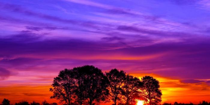 1920x1200 67+ Pretty Sunset Wallpapers on WallpaperPlay