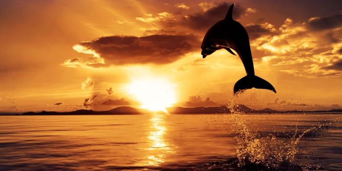 2560x1600 76+ Hd Sunset Wallpapers on WallpaperPlay