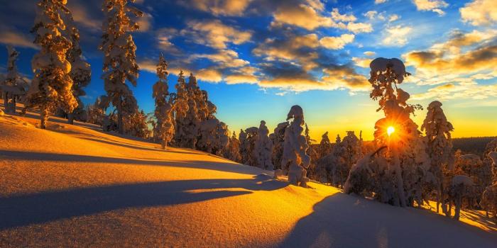 1366x768 Sunrise, Sunset, Evening, Tree, Wilderness Laptop Wallpaper