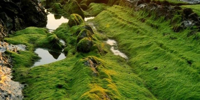 1080x1920 Pretty Nature Wallpapers iPhone | 2019 3D iPhone Wallpaper