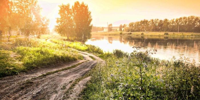 1920x1080 Pretty Mac Nature wallpaper | 1920x1080 | #31461