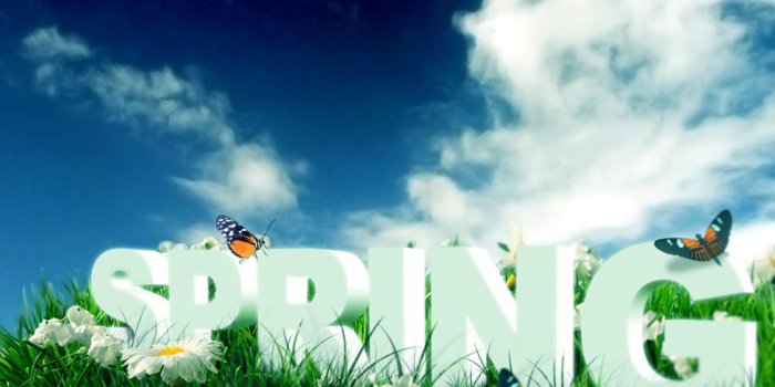 1024x768 Free download Spring Flowers Desktop Backgrounds HD Wallpapers