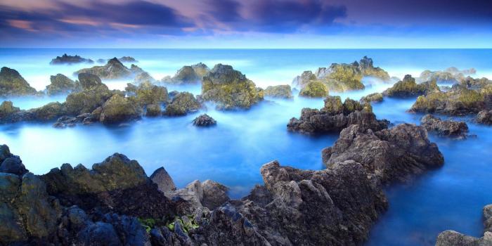 1920x1080 Pretty Nature Wallpapers