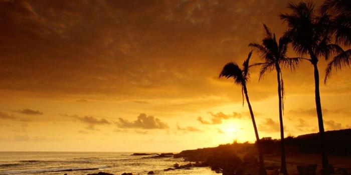 1152x832 Pretty Nature Wallpapers (62+) - HD Nice Wallpapers