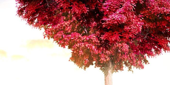 750x1334 Love Nature Wallpaper Hd (#921168) - HD Wallpaper Download