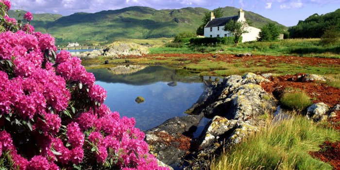 1920x1080 Disney spring coloring pages for kids site about children | Chainimage