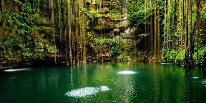 1920x1080 50+ Nature Desktop Wallpapers - Download at WallpaperBro