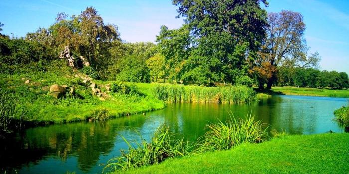 1024x768 Pretty Nature Backgrounds - Wallpapers Browse