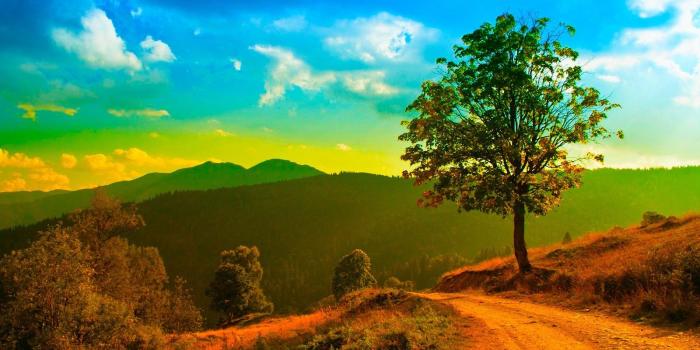 1600x900 50+ 1080p Nature Wallpapers HD For Desktop (2019) | TopxBestList