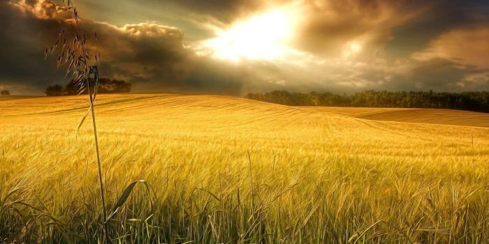 1600x900 Download Pretty Nature Wallpapers 6654 1920x1200 Px High Resolution