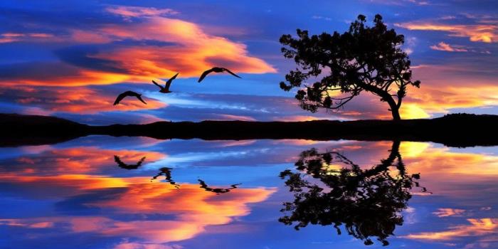 1024x768 Pretty Nature Wallpaper - Wallperio.com