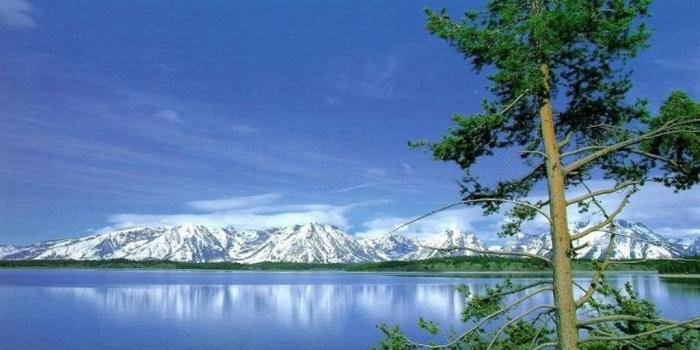 1024x768 Natural Images Download on WallpaperGet.com