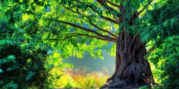 1280x768 nature wallpaper hd – adaziaire.club