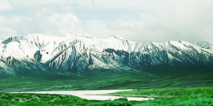 1080x1920 Beautiful Snow Green Nature iPhone 6s Wallpapers HD