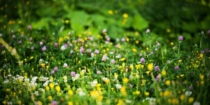 2560x1600 20 Beautiful HD Nature Wallpapers