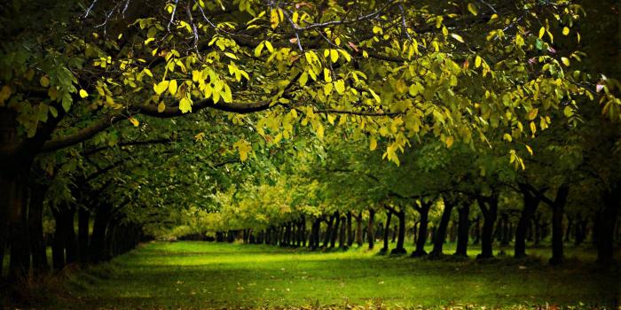 1920x1200 Beautiful Nature Wallpapers HD (72+ background pictures)