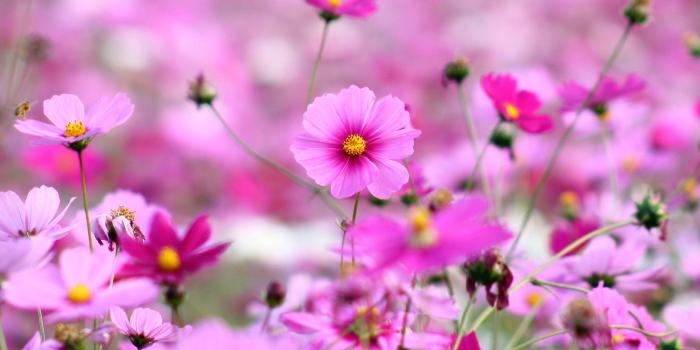 3000x2000 Nature » Nature Wallpapers For Desktop Background Full Screen - HD