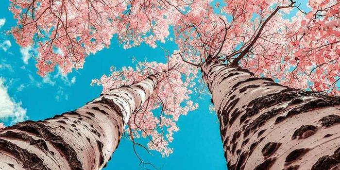 1080x1920 Autumn in Park - Tap to see more beautiful scnereies from nature