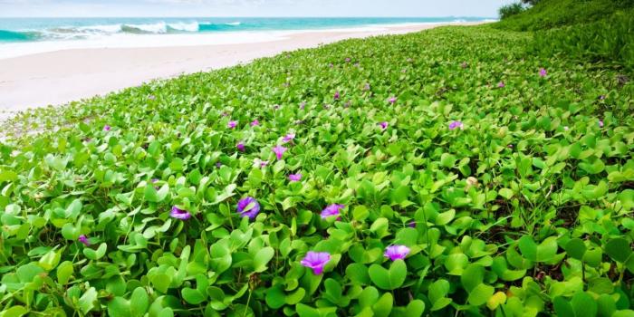 1280x804 Beach & Pretty Nature wallpapers | Beach & Pretty Nature stock photos
