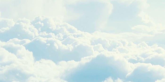 1398x2592 64+ Blank Wallpapers on WallpaperPlay