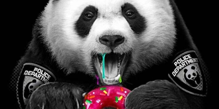 720x1280 Brigitte Spring on Lol! in 2019 | Panda wallpapers, Panda