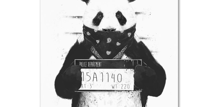 2000x2000 Balazs Solti 'Bad Panda' Canvas Art (35 x 47) | Products in 2019