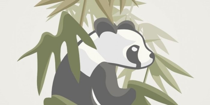 1080x1920 Animal/Panda (1080x1920) Wallpaper ID: 171799