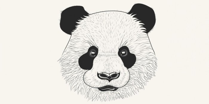 2048x1152 Wallpapers Panda Skate