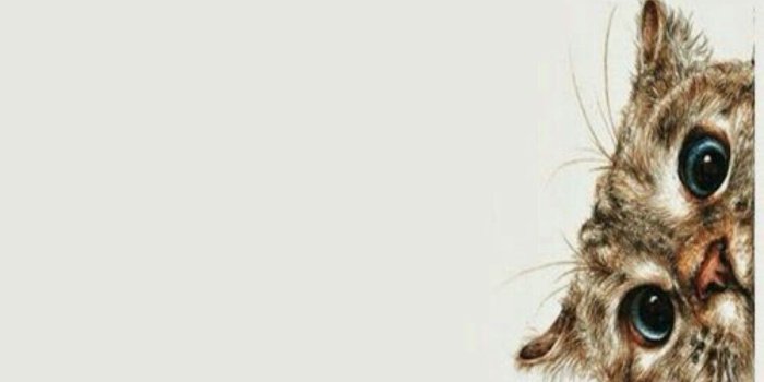 1107x1965 ❣Ḉᾰтℏʏ°℘✺ℓḙ❣ | Supreme♡ | Supreme wallpaper, Iphone wallpaper