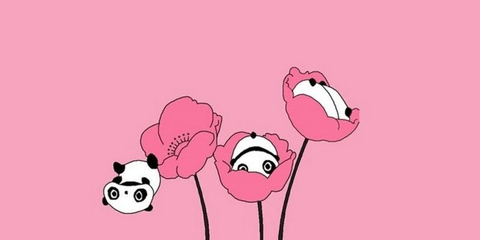 1920x1080 Pink Panda Wallpaper (66+ images)