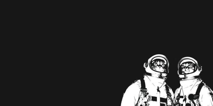1920x1200 62+ Cat Astronaut Wallpapers on WallpaperPlay